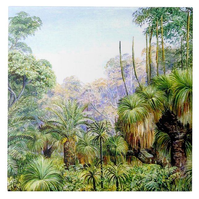 North - Forest Scene in West Australia Ceramic Tile (Front)