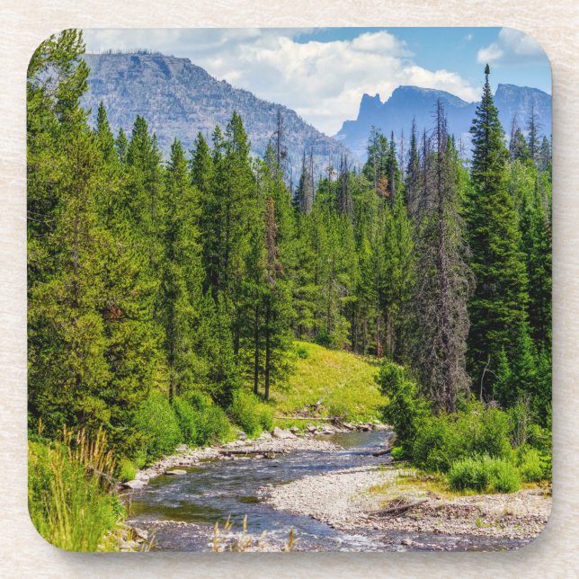 North Fork Shoshone River Beverage Coaster (Front)