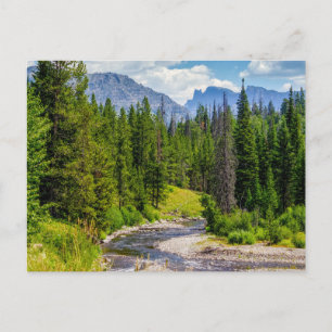 North Fork Shoshone River Blank Post Card