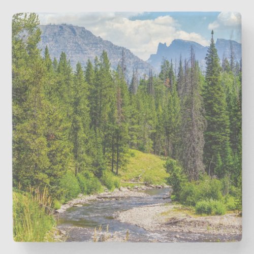 North Fork Shoshone River Stone Coaster