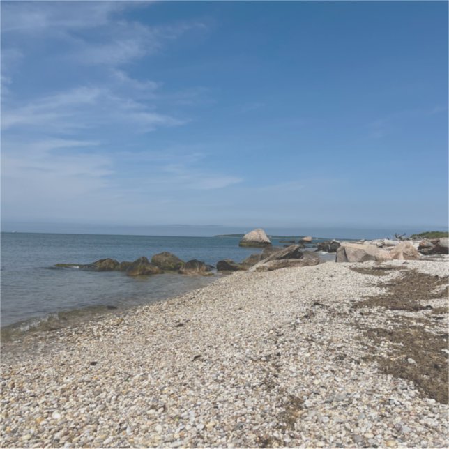 North Fork Sound Custom-Cut Vinyl Sticker (Front)