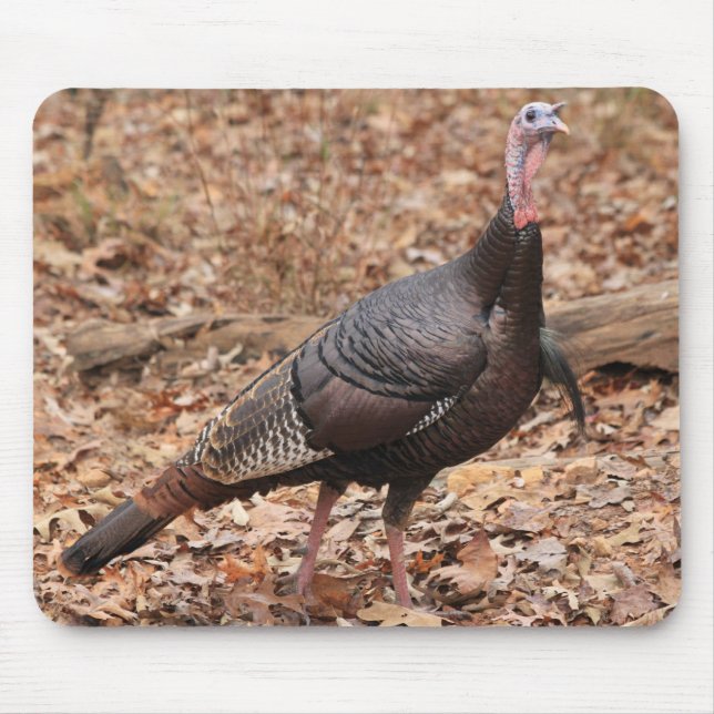 North Georgia Wild Turkey Mouse Pad (Front)