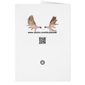 North Idaho Blue Cards (Back)