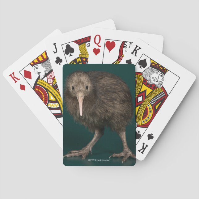 North Island Brown Kiwi Poker Cards (Back)