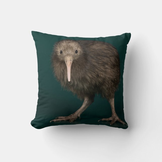 North Island Brown Kiwi Throw Pillow (Front)