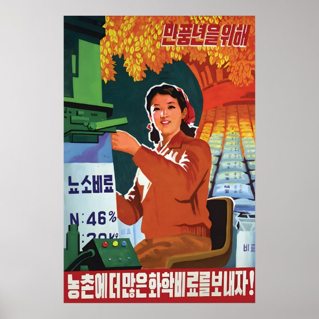 North Korea Propaganda Poster Let's finish the (Front)