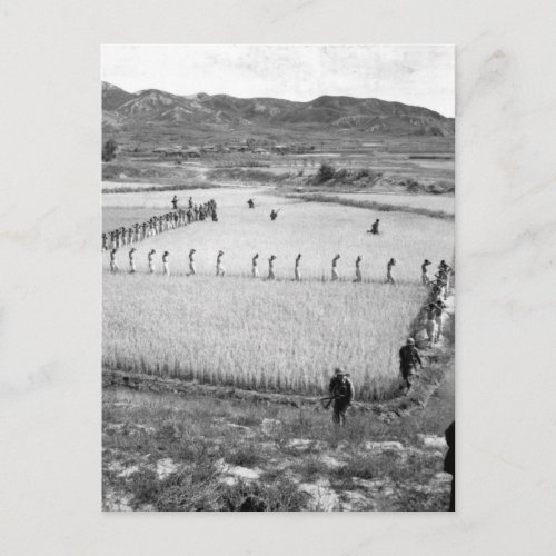 North Korean prisoners_War Image Postcard