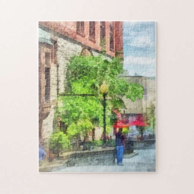 North Pearl Street, Albany, NY Jigsaw Puzzle (Vertical)