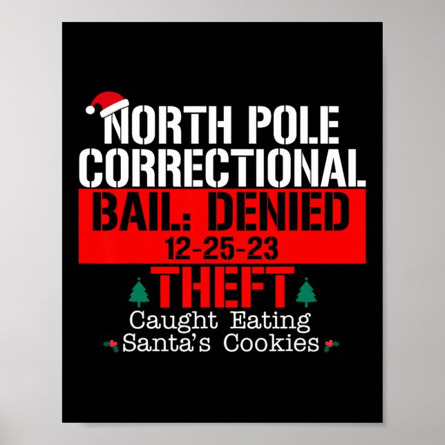 North Pole Correctional Bail Denied Theft Caught E Poster (Front)