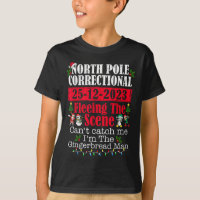 North Pole Correctional Fleeing The Scene Can't Ca