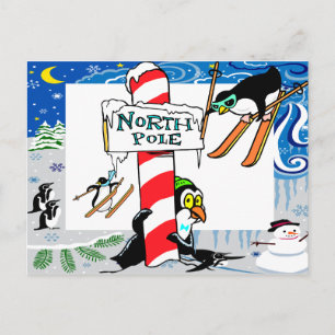 North PolePostcard Postcard