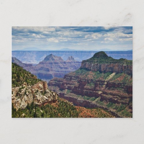 North Rim Gran Canyon _ Grand Canyon National Postcard