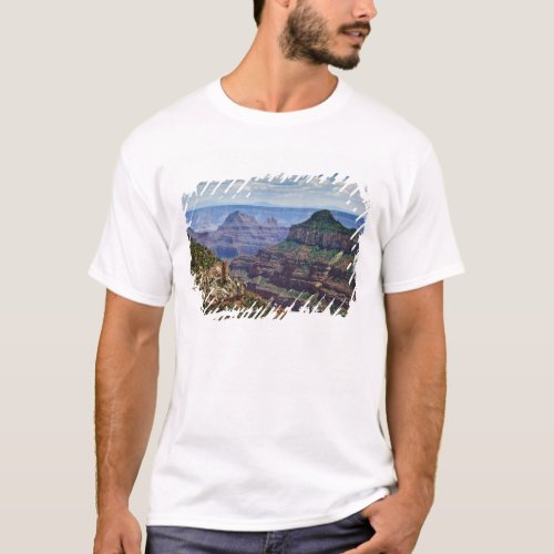 North Rim Gran Canyon _ Grand Canyon National T_Shirt