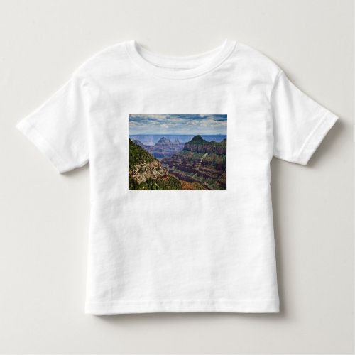North Rim Gran Canyon _ Grand Canyon National Toddler T_shirt