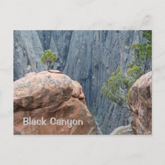 North Rim of the Black Canyon Postcard