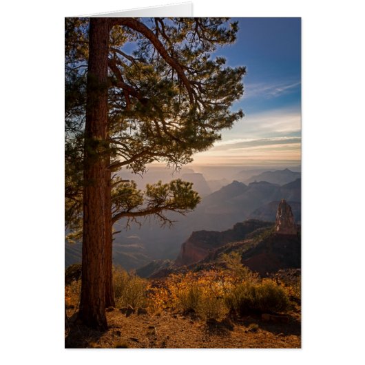 North Rim Sunrise Cards (Front)
