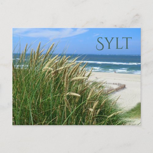 North Sea Beach Dune Grass Sylt Nordfriesland Postcard