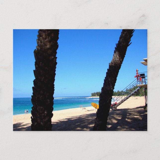 North Shore Oahu Hawaii Beach with Surfboard  Postcard (Front)