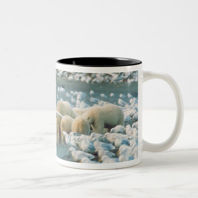 North Slope, Alaska. Polar Bears Ursus Two-Tone Coffee Mug (Right)