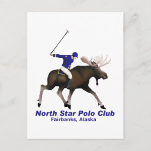 North Star Polo Club Postcard