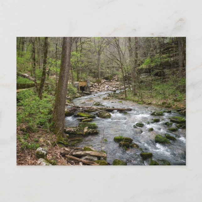 North Sylamore Creek Postcard (Front)