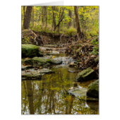 North Wears Creek (Front)