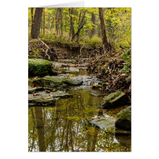 North Wears Creek (Front)