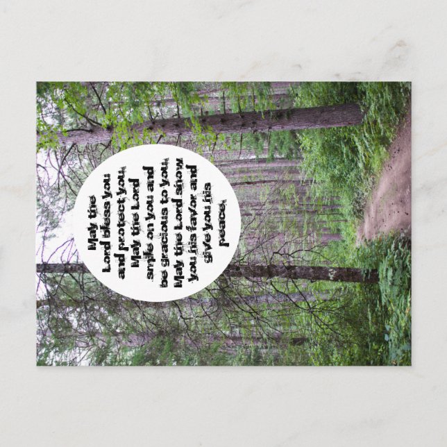 North Woods Blessing Postcard (Front)