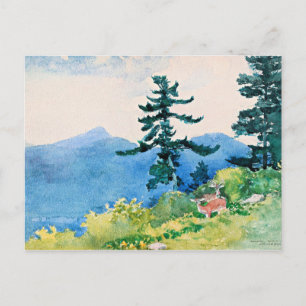 North Woods Club, Adirondacks, famous painting, Postcard