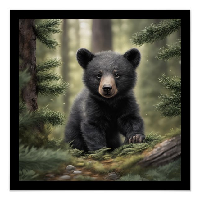 North Woods Little Black Bear Cub Glossy Poster (Front)