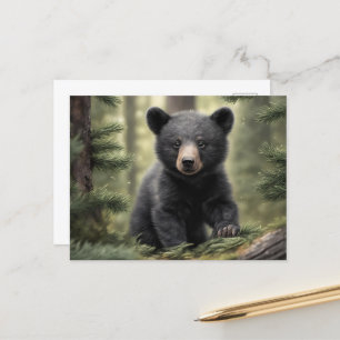 North Woods Little Black Bear Cub Postcard