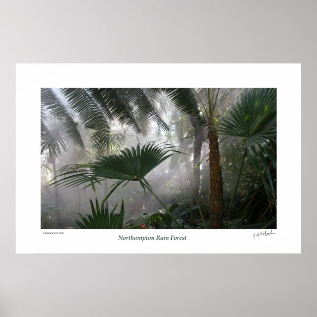 Northampton Rain Forest I Poster (Front)