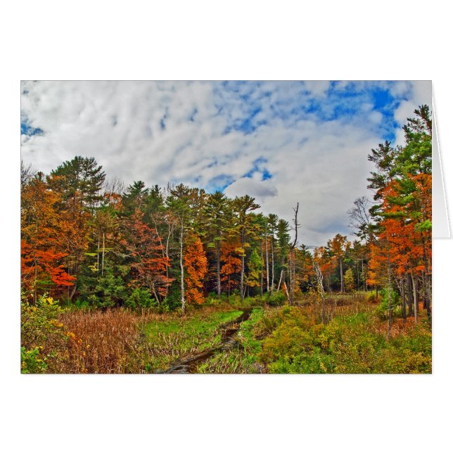 Northeast  Autumn Cards (Front Horizontal)