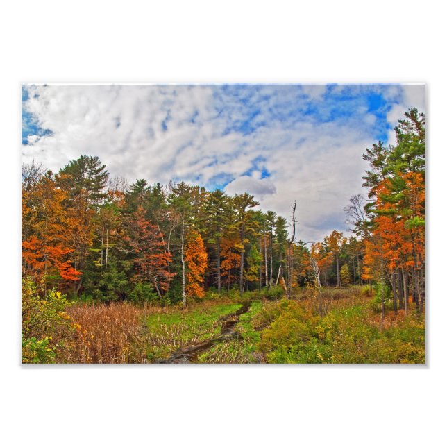Northeast  Autumn Scene Photo Print (Front)