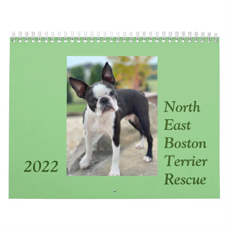 are boston terriers color blind