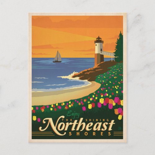 Northeast Shores  United States Postcard