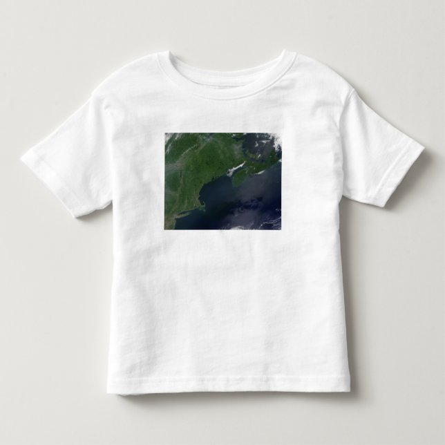 Northeast United States and Canada Toddler T-shirt (Front)