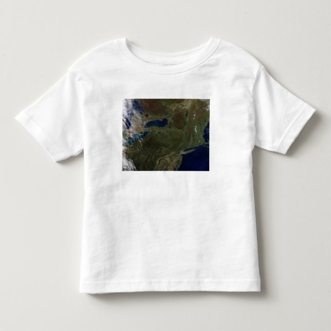 Northeast United States Toddler T-shirt (Front)