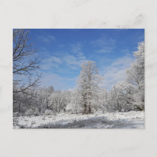 Northeast Winter Scene Postcard (Front)