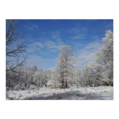 Northeast Winter Scene Poster