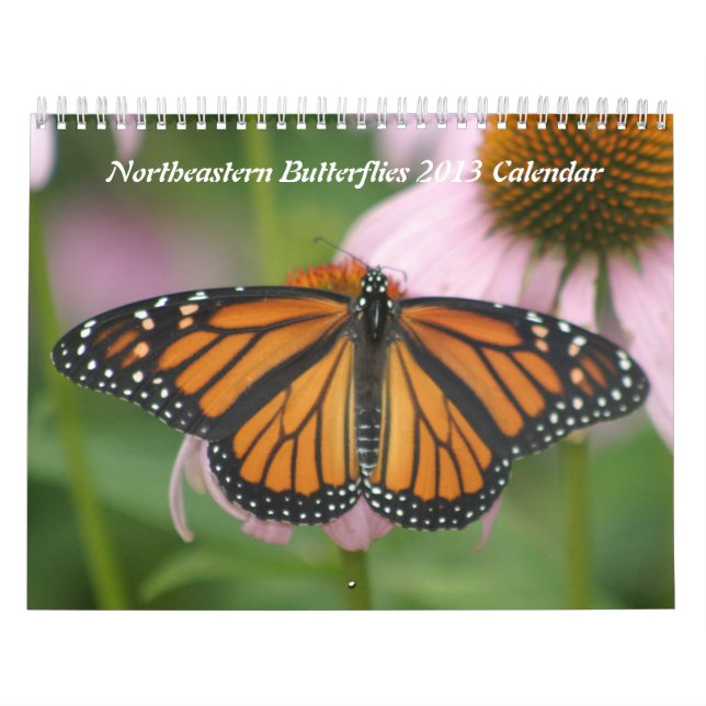 Northeastern Butterflies 2013 Calendar (Cover)