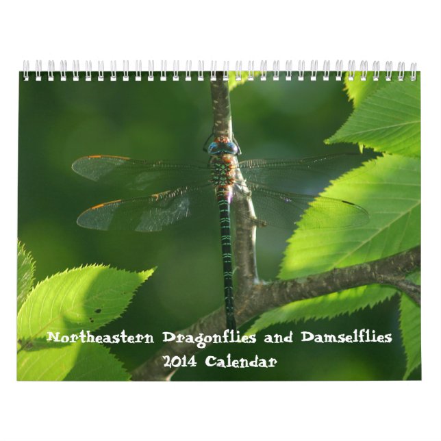 Northeastern Dragonflies Damselflies calendar (Cover)