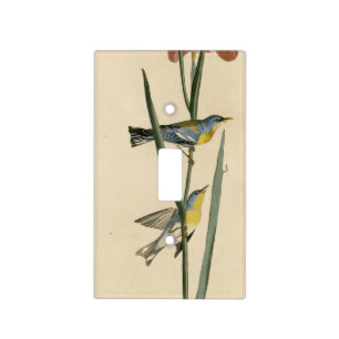 Norther Parula from Audubon's Birds of America Light Switch Cover