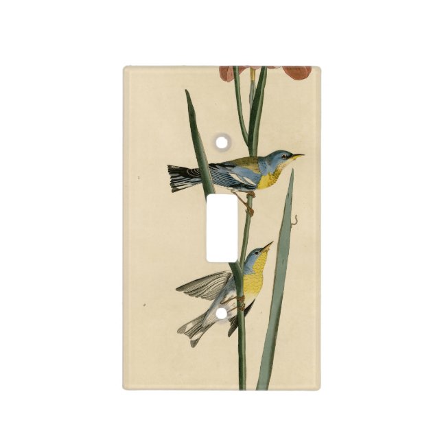 Norther Parula from Audubon's Birds of America Light Switch Cover (Front)