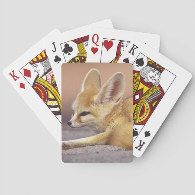 Northern Africa. Fennec Fennecus zerda) Poker Cards (Back)