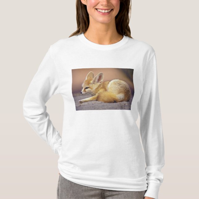 Northern Africa. Fennec Fennecus zerda) T-Shirt (Front)