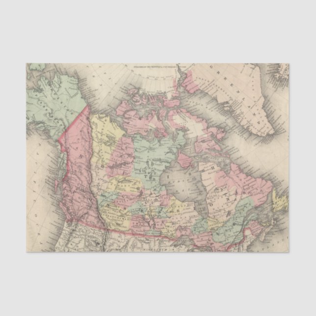 Northern America Tissue Paper (Front)