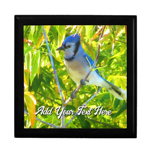 Northern Blue Jay Birds Custom Image Text Gift Box