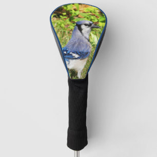 Northern Blue Jay Golf Head Cover