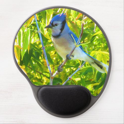 Northern Blue Jay in Tree Gel Mouse Pad